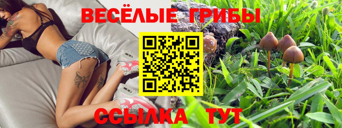 Галлюциногенные грибы Psilocybe  продажа наркотиков  Туймазы  Вход с VPN 
